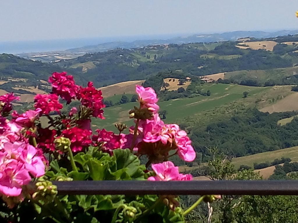 Diffuso - Il Poggetto Tra & San Marino